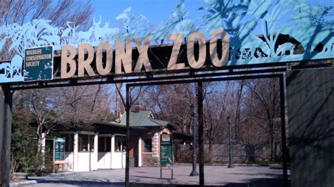 subway to the bronx zoo